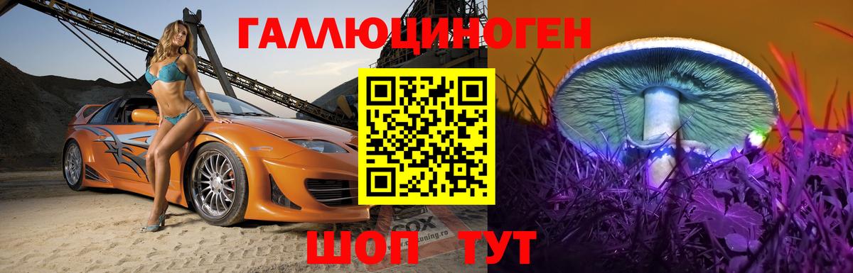 закладки  Вход с VPN  Красногорск  Галлюциногенные грибы Psilocybe  Псилоцибиновые грибы мицелий 